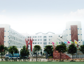 乐山外国语小学学校食堂91免费处女设备工程项目