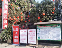 疫情无情人有情，我为抗疫做贡献！