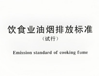 酒店91免费处女设备生产厂家和聊聊国家对餐饮行业油烟排放的要求